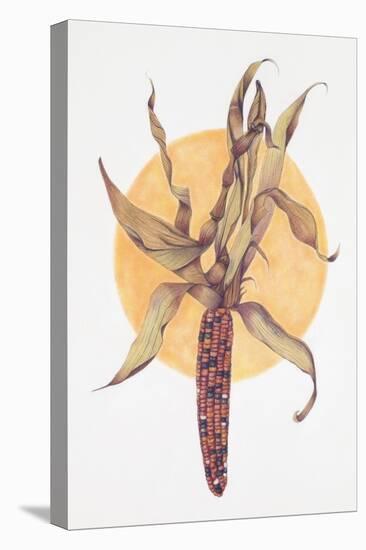 Indian Corn-Deborah Kopka-Premier Image Canvas