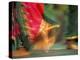 Indian Cultural Dances, Port of Spain, Trinidad, Caribbean-Greg Johnston-Premier Image Canvas