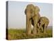 Indian Elephant Mother with 5-Day Baby and its Older Sibling, Controlled Conditions, Assam, India-T.j. Rich-Premier Image Canvas