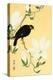 Indian Hill Minor and Magnolia-Koson Ohara-Premier Image Canvas