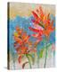 Indian Paintbrush II-null-Stretched Canvas