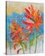 Indian Paintbrush II-null-Stretched Canvas