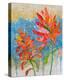 Indian Paintbrush II-null-Stretched Canvas