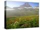 Indian Paintbrush in the Fog at Logan Pass in Glacier National Park, Montana, USA-Chuck Haney-Premier Image Canvas