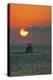 Indiana Beach sunset over Lake Michigan, Indiana Dunes, Indiana, USA-Anna Miller-Premier Image Canvas