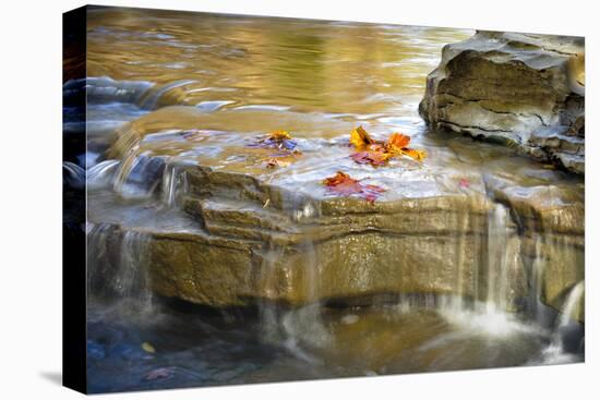 Indiana. Cataract Falls SNA, Rocks at Lower Cataract Waterfall-Rona Schwarz-Premier Image Canvas