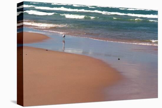 Indiana Dunes beach and Lake Michigan, Indiana Dunes, Indiana, USA-Anna Miller-Premier Image Canvas