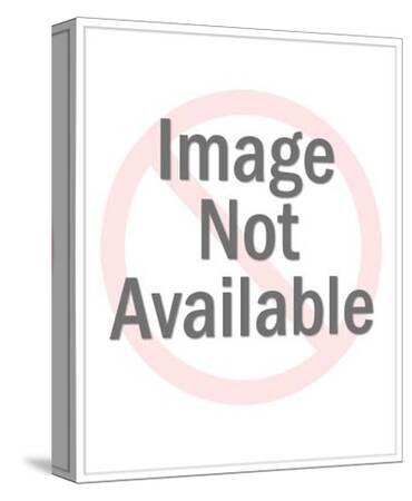 Indianapolis Indiana The Circle City Stretched Canvas Print By