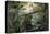 Indians Using a Fallen Tree-Trunk to Cross the Rio Paraiba Do Sul-Jean Baptiste Debret-Premier Image Canvas