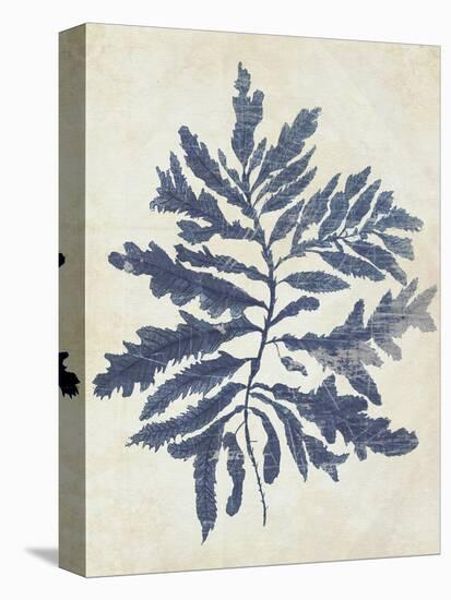 Indigo Blue Seaweed 2 b-Fab Funky-Stretched Canvas