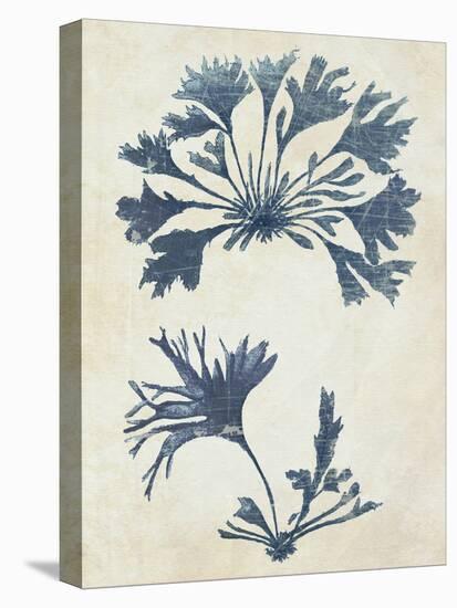 Indigo Blue Seaweed 2 d-Fab Funky-Stretched Canvas