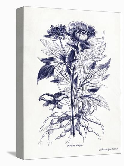 Indigo Botanical III-Gwendolyn Babbitt-Stretched Canvas