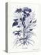 Indigo Botanical III-Gwendolyn Babbitt-Stretched Canvas