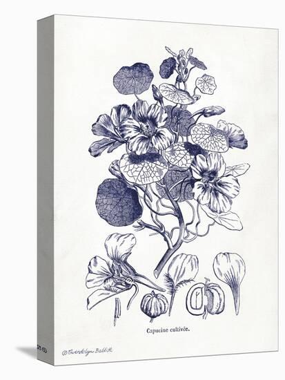 Indigo Botanical IV-Gwendolyn Babbitt-Stretched Canvas