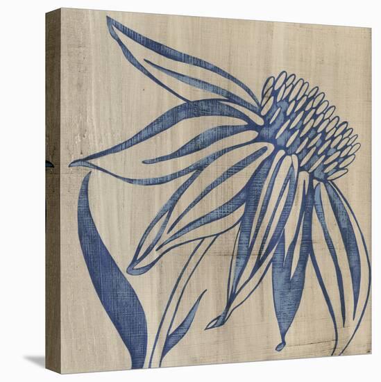 Indigo Coneflower-Chariklia Zarris-Stretched Canvas