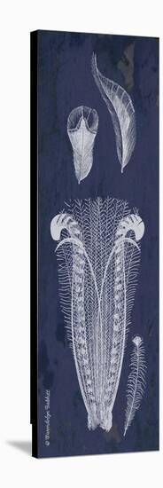 Indigo Feathers I-Gwendolyn Babbitt-Stretched Canvas