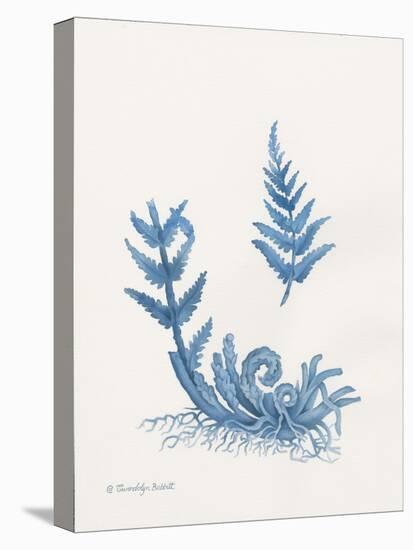 Indigo Fern I-Gwendolyn Babbitt-Stretched Canvas