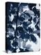 Indigo Leaves-Lexie Greer-Premier Image Canvas