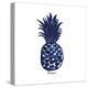 Indigo Pineapple-Aimee Wilson-Stretched Canvas