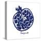 Indigo Pomegranate-Aimee Wilson-Stretched Canvas