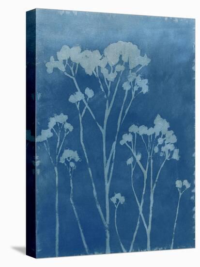 Indigo Print I-Megan Meagher-Stretched Canvas