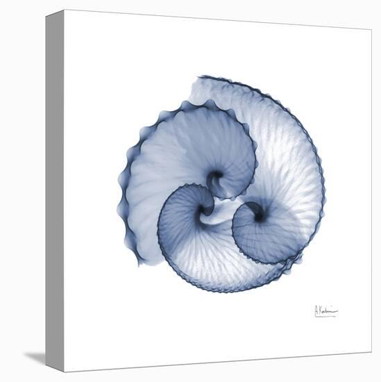 Indigo Sea Shells-Albert Koetsier-Stretched Canvas