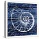 Indigo Shell 1-Kimberly Allen-Stretched Canvas