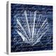 Indigo Shell 2-Kimberly Allen-Stretched Canvas