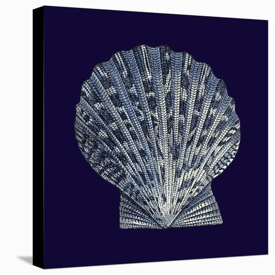 Indigo Shells VIII-Vision Studio-Stretched Canvas