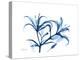 Indigo Starfire Lily-Albert Koetsier-Stretched Canvas