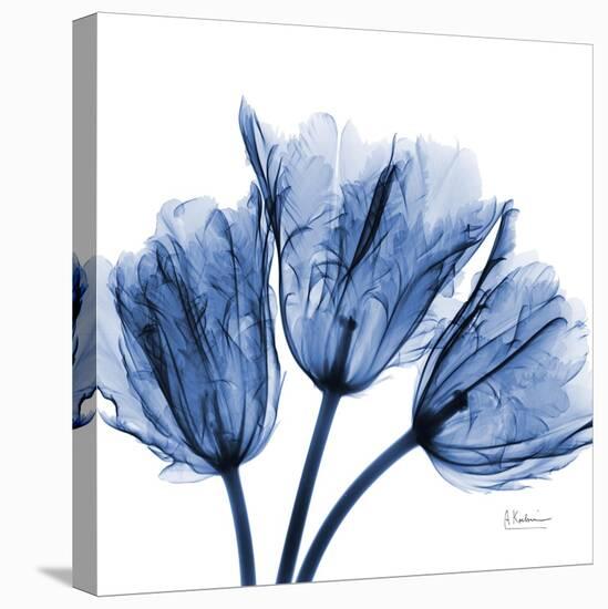 Indigo Stunning Tulips-Albert Koetsier-Stretched Canvas