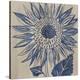 Indigo Sunflower-Chariklia Zarris-Stretched Canvas