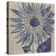 Indigo Sunflower-Chariklia Zarris-Stretched Canvas