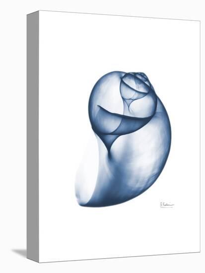 Indigo Water Snail-Albert Koetsier-Stretched Canvas