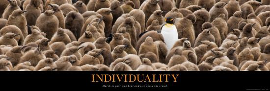 Individuality: Penguin-null-Stretched Canvas