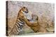 Indochinese Tiger or Corbett's Tiger, Thailand-Peter Adams-Premier Image Canvas