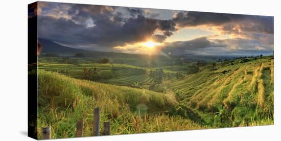 Indonesia, Bali, Jatiluwih Rice Terraces-Michele Falzone-Premier Image Canvas