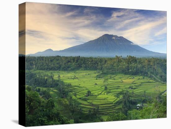 Indonesia, Bali, Redang, View of Rice Terraces and Gunung Agung Volcano-Michele Falzone-Premier Image Canvas