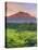 Indonesia, Bali, Redang, View of Rice Terraces and Gunung Agung Volcano-Michele Falzone-Premier Image Canvas