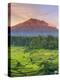 Indonesia, Bali, Redang, View of Rice Terraces and Gunung Agung Volcano-Michele Falzone-Premier Image Canvas