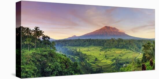 Indonesia, Bali, Redang, View of Rice Terraces and Gunung Agung Volcano-Michele Falzone-Premier Image Canvas