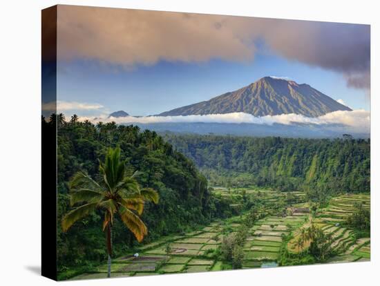 Indonesia, Bali, Rendang Rice Terraces and Gunung Agung Volcano-Michele Falzone-Premier Image Canvas