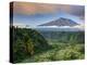 Indonesia, Bali, Rendang Rice Terraces and Gunung Agung Volcano-Michele Falzone-Premier Image Canvas