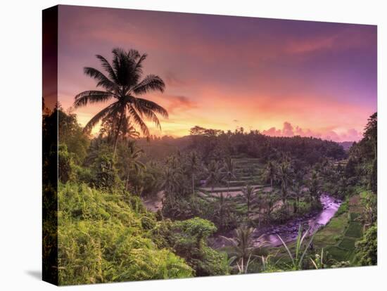 Indonesia, Bali, Ubud, Sayan Valley and Ayung River-Michele Falzone-Premier Image Canvas