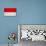 Indonesia Flag Design with Wood Patterning - Flags of the World Series-Philippe Hugonnard-Stretched Canvas displayed on a wall