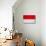 Indonesia Flag Design with Wood Patterning - Flags of the World Series-Philippe Hugonnard-Stretched Canvas displayed on a wall