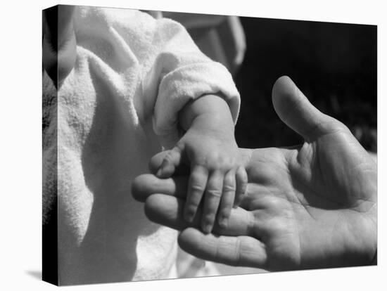 Infant's Hand in Man's Hand-Philip Gendreau-Premier Image Canvas