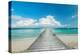 Infinity Pier-Danita Delimont-Stretched Canvas