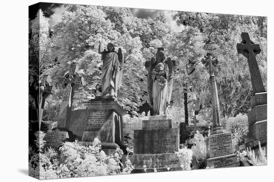 Infrared Image of the Graves in Highgate Cemetery, London, England, UK-Nadia Isakova-Premier Image Canvas