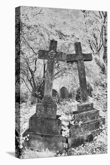 Infrared Image of the Graves in Highgate Cemetery, London, England, UK-Nadia Isakova-Premier Image Canvas